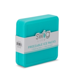 Plastic Ice Pack - Set of 2